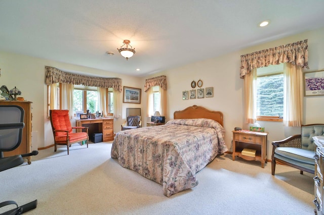 909 Lilac Ln, Little Falls, MN 56345 - bedroom with carpet, recessed lighting, and baseboards