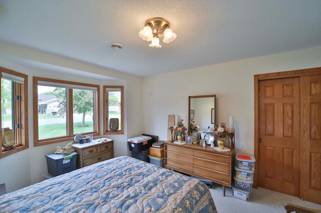 909 Lilac Ln, Little Falls, MN 56345 - view of carpeted bedroom