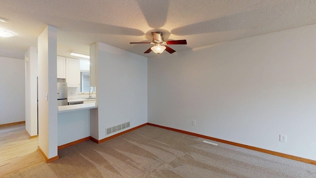 1904 Greenview Pl SW, Rochester, MN 55902 - empty room with ceiling fan, baseboards, light carpet, a textured ceiling, and a sink