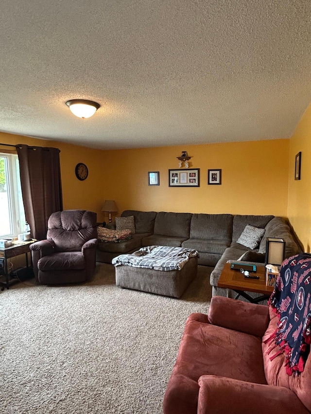 900 Pleasant Ave S, Park Rapids, MN 56470 - carpeted living room with a textured ceiling