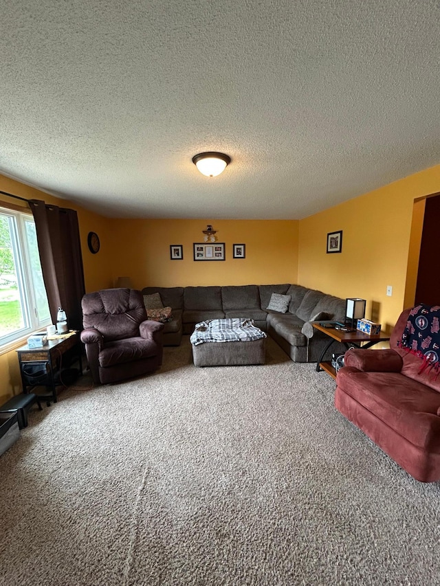 900 Pleasant Ave S, Park Rapids, MN 56470 - living room with carpet and a textured ceiling