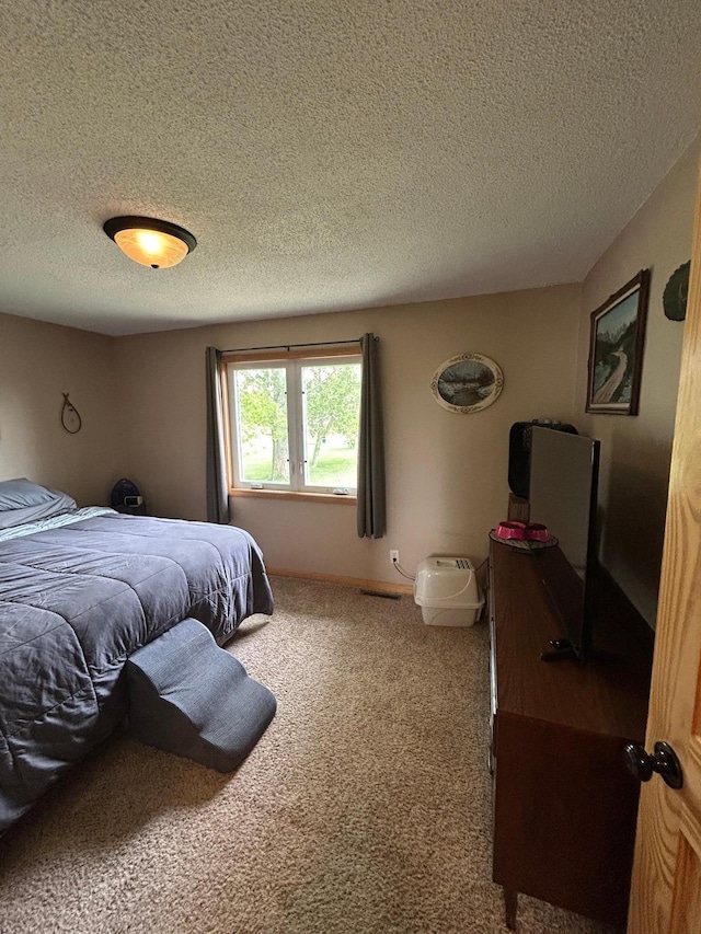 900 Pleasant Ave S, Park Rapids, MN 56470 - bedroom featuring a textured ceiling and carpet flooring