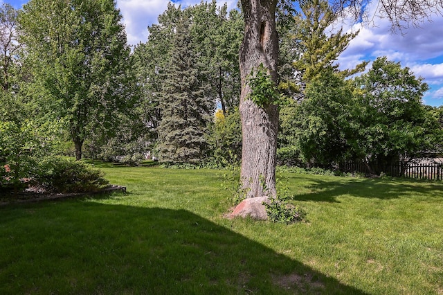 4020 Orleans Ln N, Plymouth, MN 55441 - view of yard