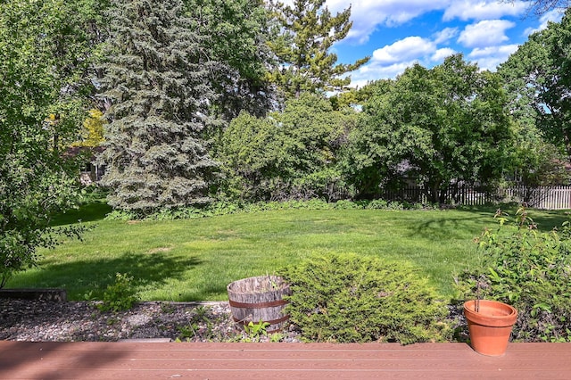 4020 Orleans Ln N, Plymouth, MN 55441 - view of yard