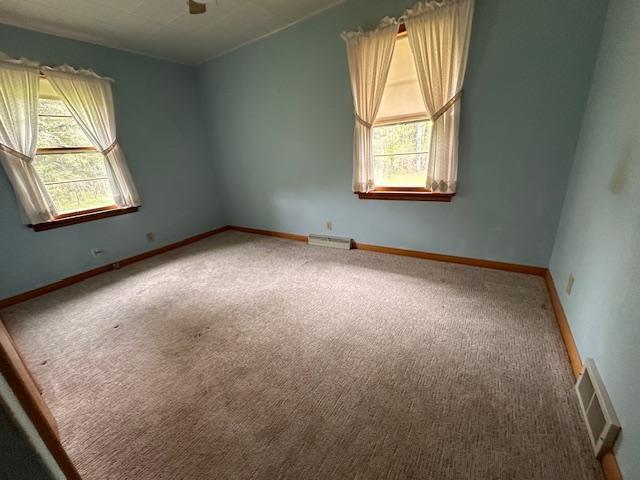 5960 Evergreen Rd, Biwabik Twp, MN 55705 - carpeted spare room with ceiling fan and baseboards