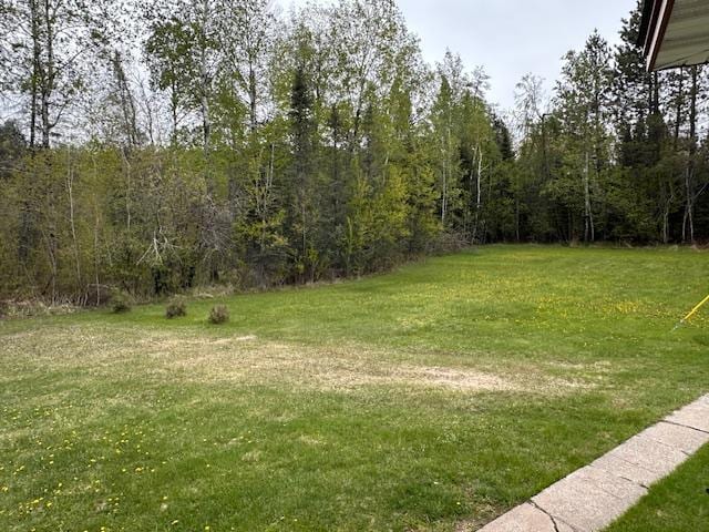 5960 Evergreen Rd, Biwabik Twp, MN 55705 - view of green lawn featuring a forest view