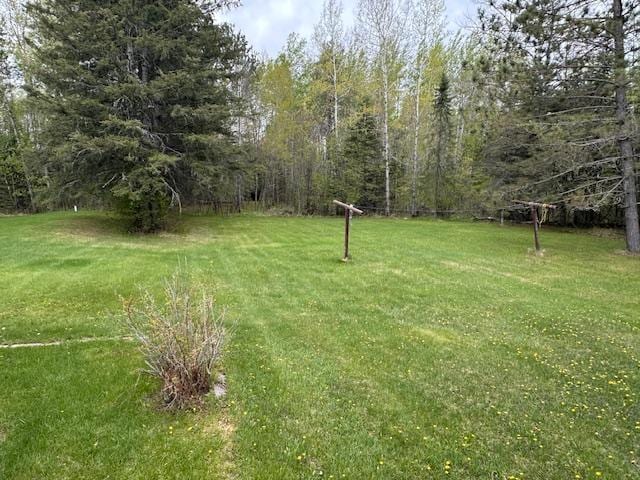 5960 Evergreen Rd, Biwabik Twp, MN 55705 - view of green lawn