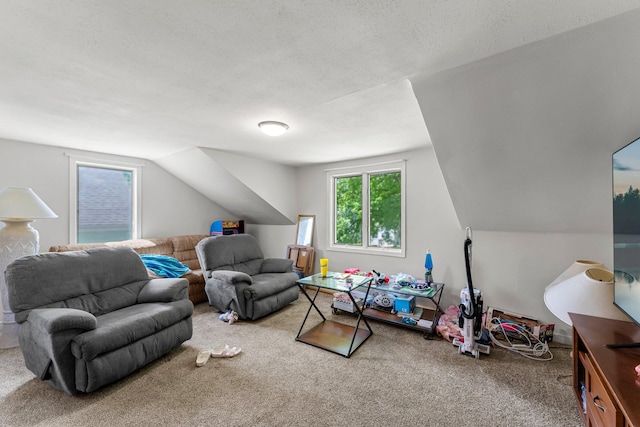 820 6th St, Montevideo, MN 56265 - living room featuring carpet flooring and lofted ceiling