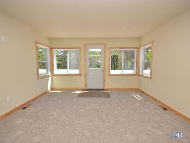 24061 US-71, Park Rapids, MN 56470 - entrance foyer with baseboards and carpet