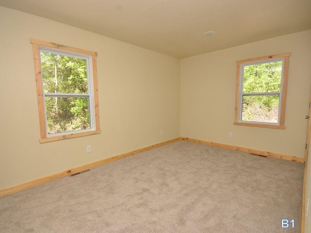 24061 US-71, Park Rapids, MN 56470 - spare room with carpet floors and baseboards