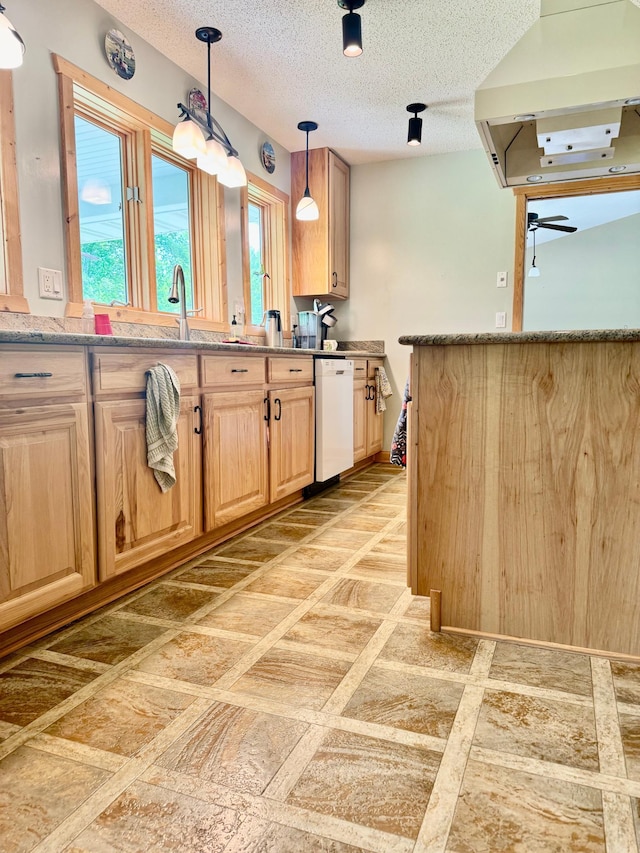 11777 State Highway 11 SE, Baudette, MN 56623 - kitchen featuring dishwasher, ventilation hood, light brown cabinets, a textured ceiling, and healthy amount of natural light