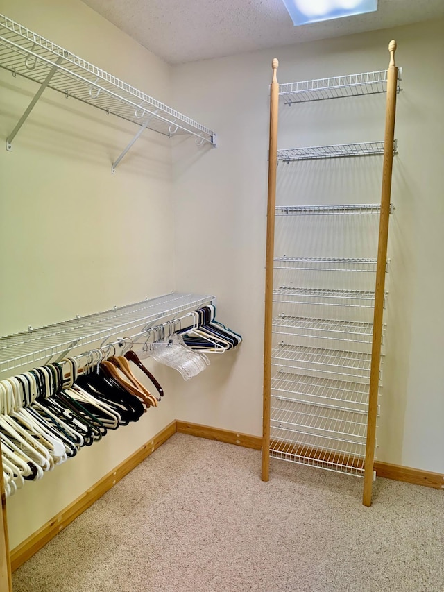 11777 State Highway 11 SE, Baudette, MN 56623 - spacious closet featuring carpet flooring