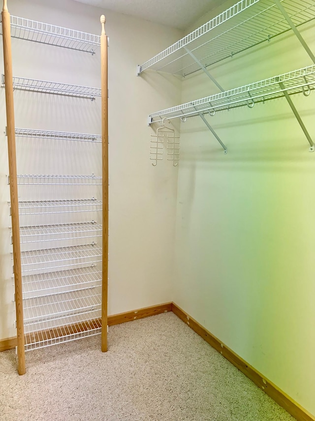 11777 State Highway 11 SE, Baudette, MN 56623 - spacious closet featuring carpet flooring