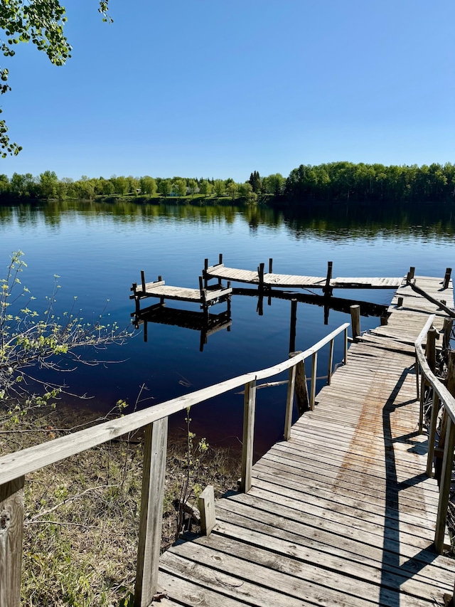 11777 State Highway 11 SE, Baudette, MN 56623 - dock area with a water view