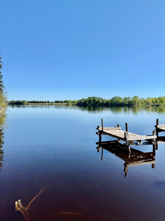 11777 State Highway 11 SE, Baudette, MN 56623 - dock with a water view