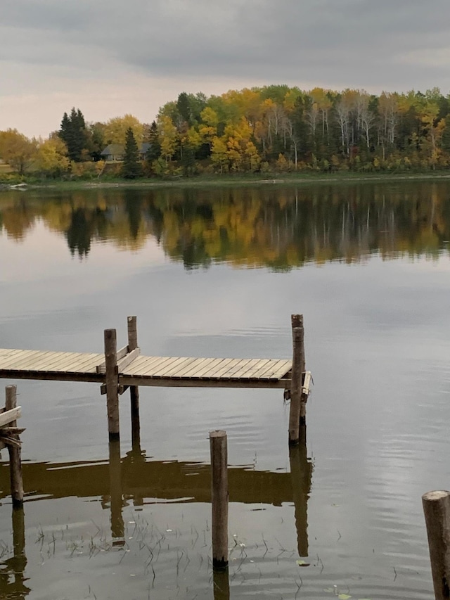 11777 State Highway 11 SE, Baudette, MN 56623 - dock with a water view and a view of trees