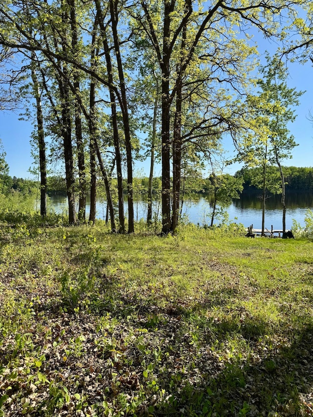 11777 State Highway 11 SE, Baudette, MN 56623 - water view