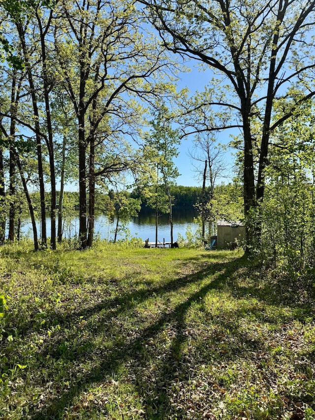 11777 State Highway 11 SE, Baudette, MN 56623 - water view