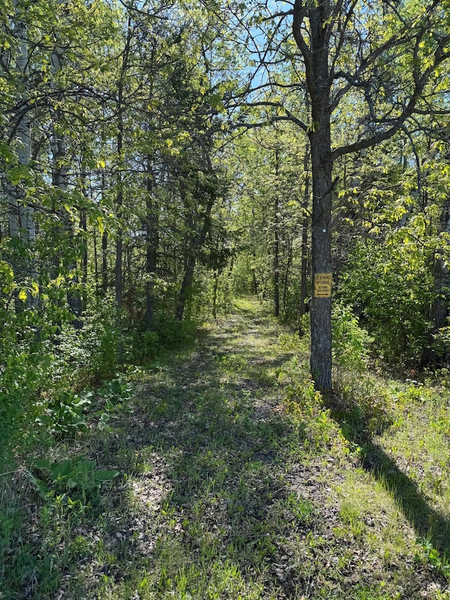 11777 State Highway 11 SE, Baudette, MN 56623 - view of woods