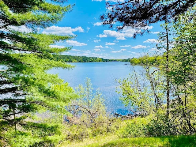 6974 Bankers Dr, Minong, WI 54859 - water view featuring a forest