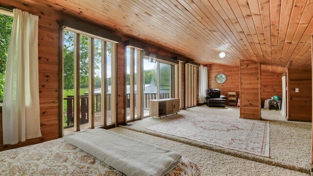 N10221 970th St, Grant Twp, WI 54730 - carpeted bedroom with vaulted ceiling, wood walls, access to outside, and wooden ceiling