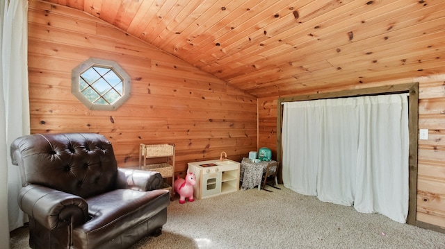 N10221 970th St, Grant Twp, WI 54730 - sitting room featuring vaulted ceiling, wooden walls, carpet, and wooden ceiling