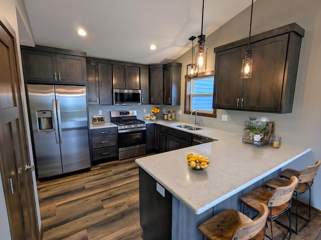 26884 709th St, Lake City, MN 55041 - kitchen featuring stainless steel appliances, a sink, dark wood-style floors, a peninsula, and vaulted ceiling