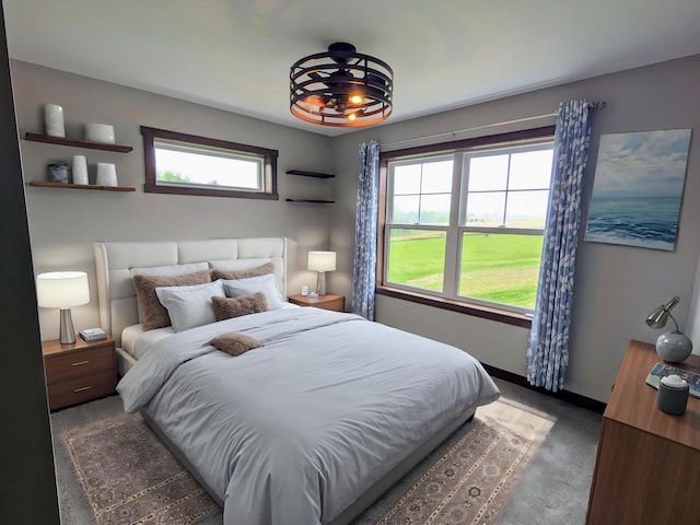 26884 709th St, Lake City, MN 55041 - bedroom featuring carpet flooring, multiple windows, and baseboards