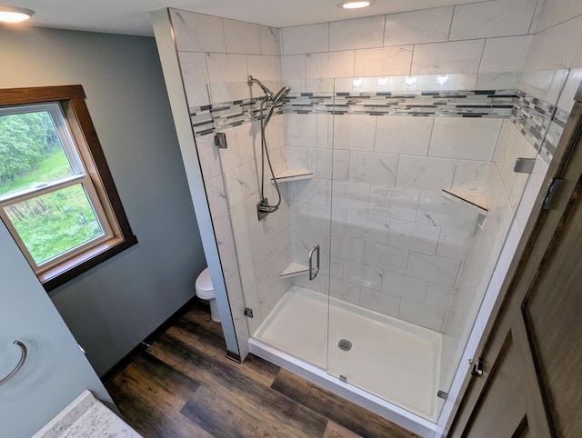 26884 709th St, Lake City, MN 55041 - bathroom with wood finished floors, a stall shower, and toilet