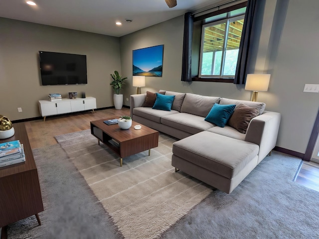26884 709th St, Lake City, MN 55041 - living area with wood finished floors, baseboards, and recessed lighting