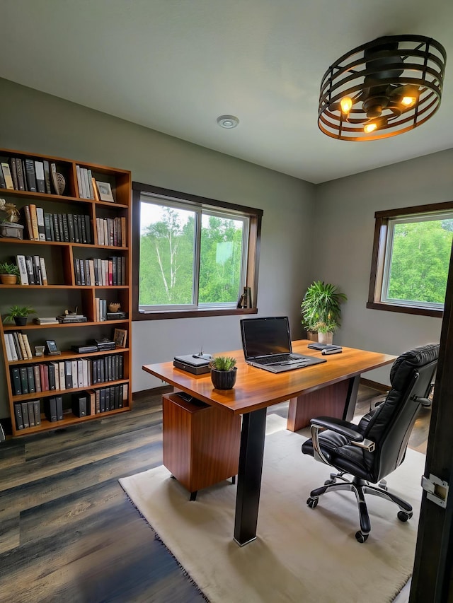 26884 709th St, Lake City, MN 55041 - office area featuring dark wood-style flooring