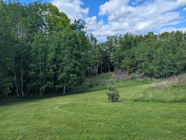 26884 709th St, Lake City, MN 55041 - view of grassy yard