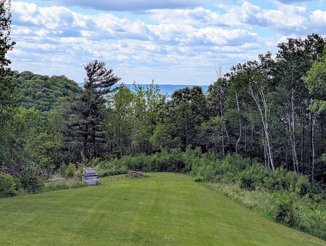 26884 709th St, Lake City, MN 55041 - view of grassy yard featuring a view of trees and a water view
