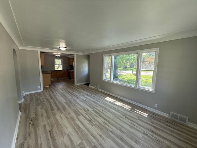 446 Darwin St, Litchfield, MN 55355 - unfurnished living room featuring arched walkways, baseboards, plenty of natural light, and light wood finished floors
