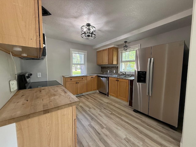 446 Darwin St, Litchfield, MN 55355 - kitchen featuring appliances with stainless steel finishes, a textured ceiling, plenty of natural light, a sink, and light wood finished floors