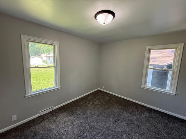 446 Darwin St, Litchfield, MN 55355 - unfurnished room featuring dark colored carpet, healthy amount of natural light, and baseboards