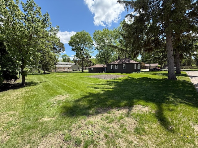 446 Darwin St, Litchfield, MN 55355 - view of grassy yard