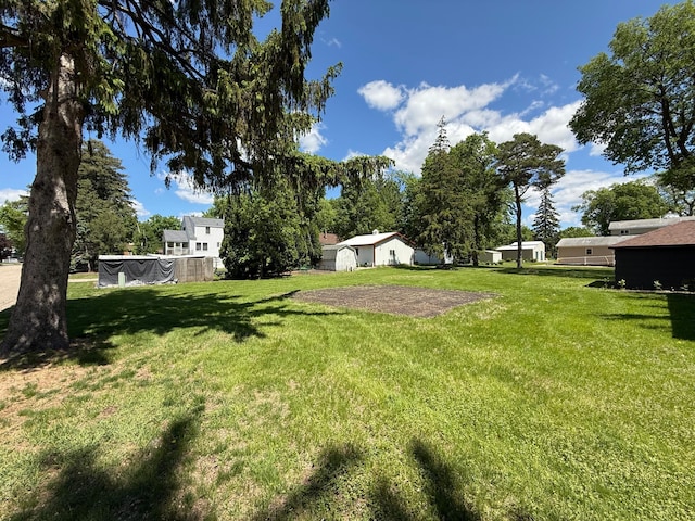 446 Darwin St, Litchfield, MN 55355 - view of green lawn