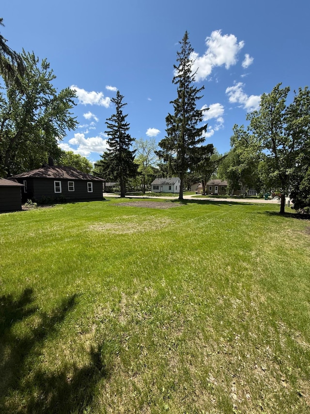446 Darwin St, Litchfield, MN 55355 - view of green lawn