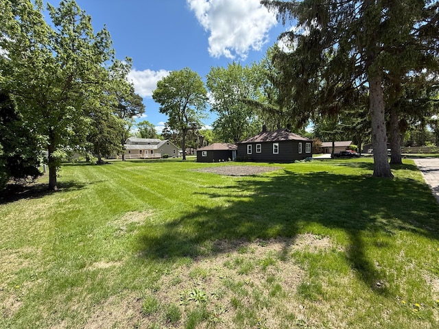 446 Darwin St, Litchfield, MN 55355 - view of green lawn