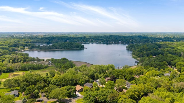 7190 Annapolis Cir, Maple Grove, MN 55311 - drone / aerial view of a large body of water and a heavily wooded area