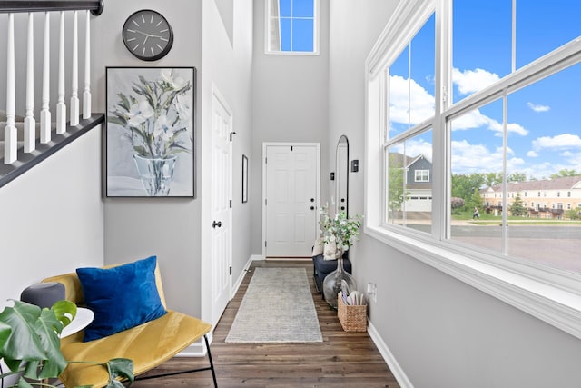 6980 Archer Trl, Inver Grove Heights, MN 55077 - foyer with a high ceiling, dark wood-style floors, and baseboards