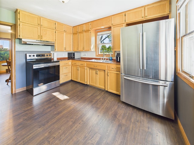 302 2nd St S, Melrose, MN 56352 - kitchen featuring stainless steel appliances, under cabinet range hood, a sink, and dark wood-type flooring