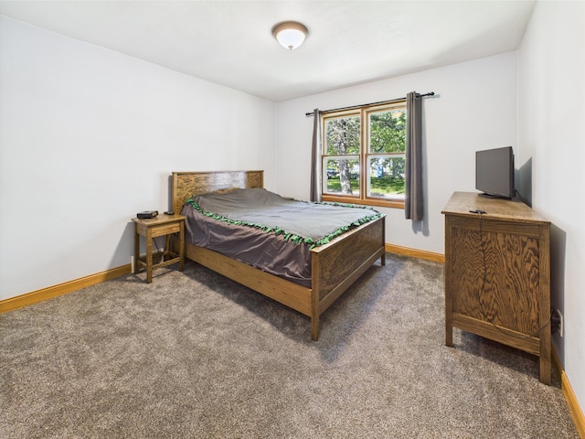302 2nd St S, Melrose, MN 56352 - bedroom featuring carpet flooring and baseboards