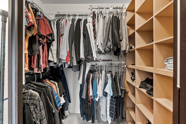 445 Shelard Pkwy Unit 204, Saint Louis Park, MN 55426 - view of spacious closet