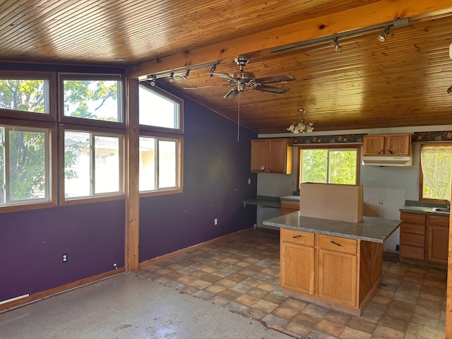 28 Cypress Blvd, Babbitt, MN 55706 - kitchen with rail lighting, vaulted ceiling, ceiling fan, wood ceiling, and under cabinet range hood