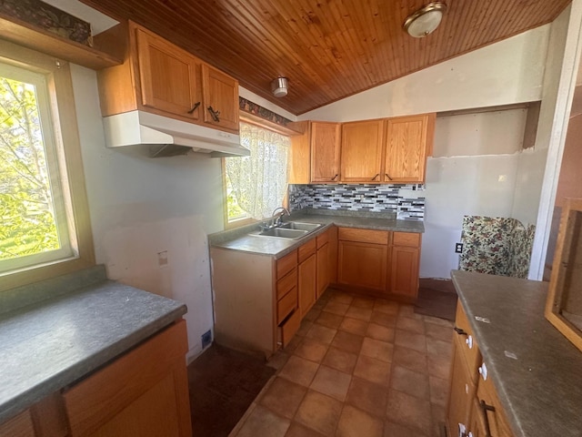 28 Cypress Blvd, Babbitt, MN 55706 - kitchen featuring a sink, wooden ceiling, tasteful backsplash, lofted ceiling, and plenty of natural light