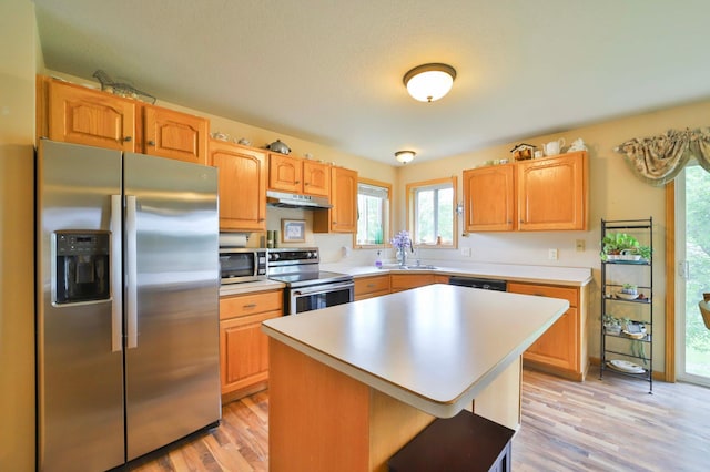 9095 Twins St, Brainerd, MN 56401 - kitchen featuring appliances with stainless steel finishes, light wood-style flooring, and plenty of natural light