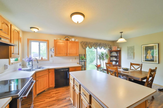 9095 Twins St, Brainerd, MN 56401 - kitchen featuring black dishwasher, stainless steel range with electric cooktop, a sink, and light wood-type flooring