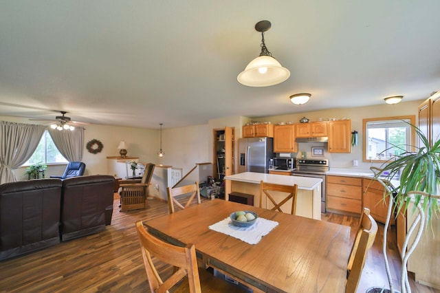 9095 Twins St, Brainerd, MN 56401 - dining area with plenty of natural light, dark wood-style flooring, and ceiling fan